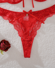 Red Floral Lace Underwire Bra & Panty Set