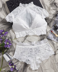 High Neck Lace Sheer Mesh Backless Bra Underwear Set