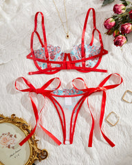 Sexy Flower Embroidered Mesh Lace Gathered Bra Set