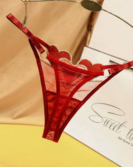 Heart Embroidered Sheer Mesh Sexy Thong